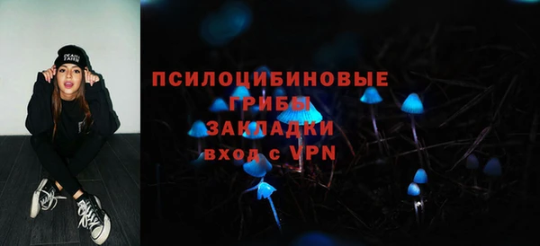 ГАЛЛЮЦИНОГЕННЫЕ ГРИБЫ Алзамай