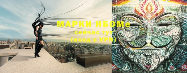 ГАЛЛЮЦИНОГЕННЫЕ ГРИБЫ Алзамай
