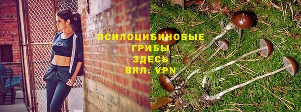 ГАЛЛЮЦИНОГЕННЫЕ ГРИБЫ Алзамай