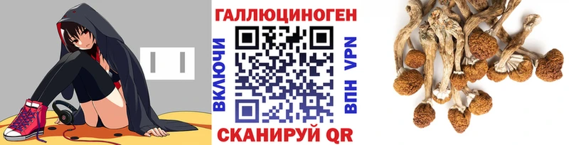кракен маркетплейс  Шелехов  Галлюциногенные грибы ЛСД 